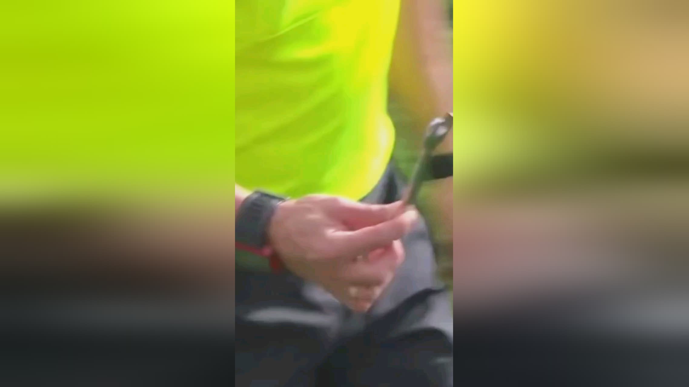 专注我